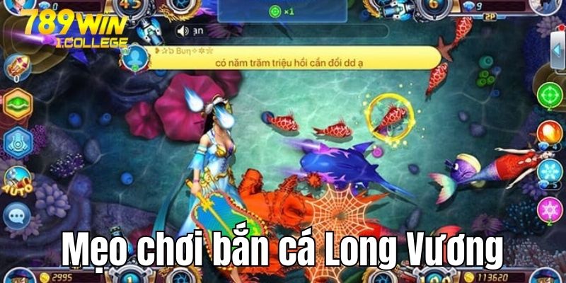 Tiết lộ mẹo chơi bắn cá Long Vương hiệu quả