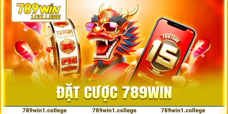 Đặt cược 789WIN